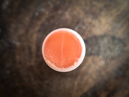 Lanolin Lip Balm with Coconut: 6g | Ginger Bear Boutique